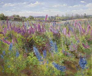 Delphiniums et coquelicots, 1991